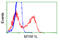 Mitochondrial Translational Release Factor 1 Like antibody, LS-C115054, Lifespan Biosciences, Flow Cytometry image 