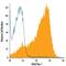 CD82 Molecule antibody, FAB4616A, R&D Systems, Flow Cytometry image 