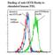 TNF Receptor Superfamily Member 18 antibody, LS-C134766, Lifespan Biosciences, Flow Cytometry image 