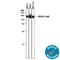 c-Kit antibody, AF1356, R&D Systems, Western Blot image 