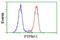 Protein Tyrosine Phosphatase Non-Receptor Type 11 antibody, LS-C172395, Lifespan Biosciences, Flow Cytometry image 