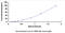 Transmembrane Protein 176B antibody, MBS2024848, MyBioSource, Enzyme Linked Immunosorbent Assay image 