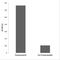 ERBIN antibody, P30915, Boster Biological Technology, Immunohistochemistry paraffin image 