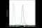 Spi-1 Proto-Oncogene antibody, 2266S, Cell Signaling Technology, Flow Cytometry image 