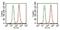 Fibroblast Growth Factor Receptor 1 antibody, NB120-829, Novus Biologicals, Flow Cytometry image 