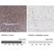 SAM And SH3 Domain Containing 3 antibody, NBP1-92364, Novus Biologicals, Immunohistochemistry paraffin image 