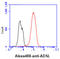 Adenylosuccinate Lyase antibody, GTX57653, GeneTex, Flow Cytometry image 