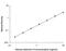 Galectin 9 antibody, DGAL90, R&D Systems, Enzyme Linked Immunosorbent Assay image 