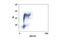 RB Transcriptional Corepressor 1 antibody, 9309S, Cell Signaling Technology, Flow Cytometry image 