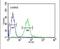 GTP Binding Protein 2 antibody, PA5-23726, Invitrogen Antibodies, Flow Cytometry image 