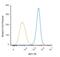 Interferon Regulatory Factor 5 antibody, NBP1-04307PE, Novus Biologicals, Flow Cytometry image 