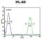 Ankyrin Repeat Domain 40 antibody, abx026228, Abbexa, Flow Cytometry image 