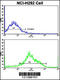 Pleckstrin Homology And RhoGEF Domain Containing G6 antibody, 62-539, ProSci, Flow Cytometry image 
