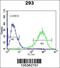 Inositol-trisphosphate 3-kinase B antibody, 63-442, ProSci, Flow Cytometry image 