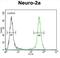 Josephin Domain Containing 2 antibody, abx025794, Abbexa, Flow Cytometry image 