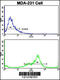 Valosin Containing Protein antibody, 62-538, ProSci, Flow Cytometry image 