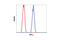 Chromobox 5 antibody, 2616S, Cell Signaling Technology, Flow Cytometry image 