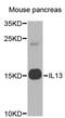 Interleukin 13 antibody, MBS128157, MyBioSource, Western Blot image 