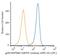 Heat Shock Protein 90 Beta Family Member 1 antibody, NB110-61640APC, Novus Biologicals, Flow Cytometry image 