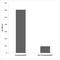 Neurotrophic Receptor Tyrosine Kinase 2 antibody, LS-C291539, Lifespan Biosciences, Enzyme Linked Immunosorbent Assay image 