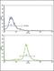 Ornithine Carbamoyltransferase antibody, PA5-35324, Invitrogen Antibodies, Flow Cytometry image 