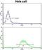 Leiomodin 1 antibody, GTX81141, GeneTex, Flow Cytometry image 