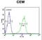 Zic Family Member 3 antibody, LS-C160792, Lifespan Biosciences, Flow Cytometry image 