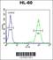 ST8 Alpha-N-Acetyl-Neuraminide Alpha-2,8-Sialyltransferase 3 antibody, 61-983, ProSci, Flow Cytometry image 