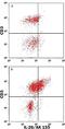 Interleukin 26 antibody, MA5-23678, Invitrogen Antibodies, Flow Cytometry image 