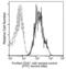 CD47 Molecule antibody, 12283-MM07, Sino Biological, Flow Cytometry image 