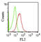 CD1b Molecule antibody, AM50212PU-S, Origene, Flow Cytometry image 