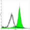 Tubulin Beta 3 Class III antibody, LS-C203053, Lifespan Biosciences, Flow Cytometry image 
