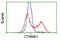 Catenin Beta 1 antibody, NBP2-03615, Novus Biologicals, Flow Cytometry image 