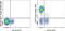 CD5 Molecule antibody, 63-0059-41, Invitrogen Antibodies, Flow Cytometry image 