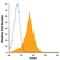 CD83 antigen antibody, FAB1774P, R&D Systems, Flow Cytometry image 