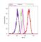 Actin Like 6A antibody, 702414, Invitrogen Antibodies, Flow Cytometry image 