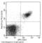 Complement receptor type 2 antibody, 10811-MM02-A, Sino Biological, Flow Cytometry image 