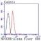 Notch Receptor 4 antibody, NBP2-66985, Novus Biologicals, Flow Cytometry image 