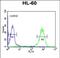 Delta Like Non-Canonical Notch Ligand 2 antibody, PA5-72612, Invitrogen Antibodies, Flow Cytometry image 