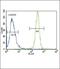 Kruppel Like Factor 10 antibody, orb256646, Biorbyt, Flow Cytometry image 