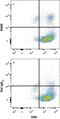 RAGE antibody, MAB11795, R&D Systems, Flow Cytometry image 