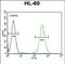 Ras And Rab Interactor Like antibody, PA5-48332, Invitrogen Antibodies, Flow Cytometry image 