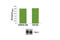 PD-L1 antibody, 14784C, Cell Signaling Technology, Enzyme Linked Immunosorbent Assay image 