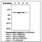 Protein Tyrosine Kinase 2 antibody, LS-C62093, Lifespan Biosciences, Western Blot image 