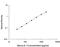 Interleukin 7 antibody, M7000, R&D Systems, Enzyme Linked Immunosorbent Assay image 