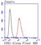 Prostaglandin-Endoperoxide Synthase 1 antibody, NBP2-67643, Novus Biologicals, Flow Cytometry image 