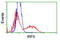 Interferon Regulatory Factor 6 antibody, TA503345, Origene, Flow Cytometry image 