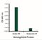 Avian Influenza Hemagglutinin 1 antibody, NBP2-41050, Novus Biologicals, Enzyme Linked Immunosorbent Assay image 