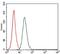 Fos Proto-Oncogene, AP-1 Transcription Factor Subunit antibody, NBP2-37492, Novus Biologicals, Flow Cytometry image 