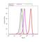 Nuclear Factor Kappa B Subunit 2 antibody, MA5-17217, Invitrogen Antibodies, Flow Cytometry image 